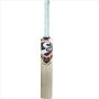 SG Roar Ultimate English Willow Cricket Bat