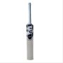 SG Roar Xtreme English Willow Cricket Bat