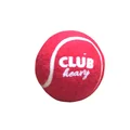  SG Club Heavy Cricket Balls Ball set of 2 Canes  Red Color