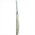 SG Player Ultimate English Willow Cricket Bat (Standard Size Short Handle)