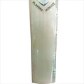 SG Player Ultimate English Willow Cricket Bat (Standard Size Short Handle)