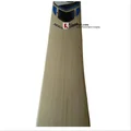 SG Nexus Xtreme English Willow Cricket Bat (Standard Size Short Handle)