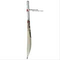 SG Cobra Xtreme English Willow Cricket Bat (Standard Size Short Handle)