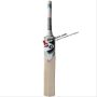 SG T 45 Limited Edition 2019 English Willow Cricket Bat
