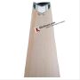 SG T 45 Limited Edition 2019 English Willow Cricket Bat