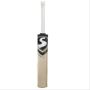 SG Maxxum LE English Willow Cricket Bat