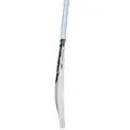 SG HP 250 English Willow Cricket Bat (Standard Size Short Handle)