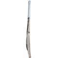 SG HP 33 English Willow Cricket Bat