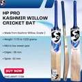 SG HP Pro Kashmir Willow Cricket Bat (Junior Short Handle)