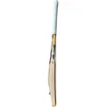 SG HP T20 English willow Cricket Bat (Standard Size Short Handle)