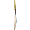SG Ishan kishan English Willow Cricket Bat (Standard Size Short Handle)
