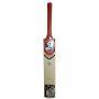 SG Max Cover Kashmir Willow Cricket Bat Standard Size