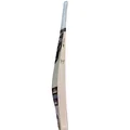 SG Kung Fu Pandya English Willow Cricket Bat (Standard Size Short Handle)