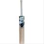 SG ROAR SPARK Kashmir Willow Cricket Bat