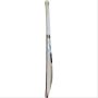 SG ROAR SPARK Kashmir Willow Cricket Bat