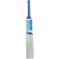 SS N.Pooran Kashmir Willow Cricket Bat (Standard Size Short Handle)