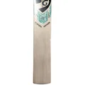 SG Players Edition English Willow Cricket Bat (Standard Size Short Handle)