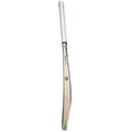 SG Players Edition English Willow Cricket Bat (Standard Size Short Handle)