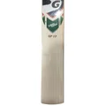 SG RP 17 English Willow Cricket Bat