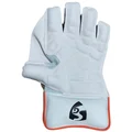 SG RP 17 League Wicket Keeping Gloves
