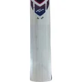 SG RP 250 English Willow Cricket Bat (Standard Size Short Handle)