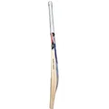 SG Ryan Parag English Willow Cricket Bat (Standard Size Short Handle)