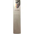 SG Ryan Parag English Willow Cricket Bat (Standard Size Short Handle)