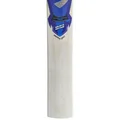 SG Sierra 250 English Willow Cricket Bat (Standard Size Short Handle)