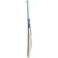 SG Sierra 250 English Willow Cricket Bat (Standard Size Short Handle)