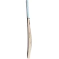 SG Sunny Gold English Willow Cricket Bat (Standard Size Short Handle)