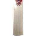 SG  Sunny Tonny English Willow Cricket Bat  (Standard Size Short Handle)