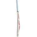 SG Sunny Tonny Icon English Willow Cricket Bat (Standard Size Short Handle)