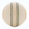 SG Super 50 White Cricket 12 Ball Set