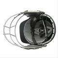 Shrey Pro Guard Cricket Helmet With Titanium Grille Large