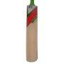 Slazenger Cricket Bat V 200 Icon English Willow Standard Size