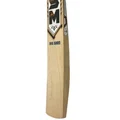 SM Big Shot English Willow Cricket Bat (Standard Size Short Handle)