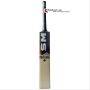 SM King Of Kings English Willow Cricket Bat