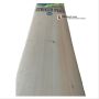 SM Striker Plus Kashmir Willow Cricket Bat Standard Size