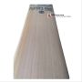 SM Players Pride English Willow Cricket Bat Standard Size