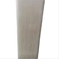 SM Wallop English Willow Cricket Bat (Standard Size Short Handle)