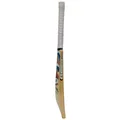 Sm Knock Camou Pro Edition English Willow Bat (Standard Size Short Handle)