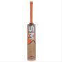 SM Catch Practice Kashmir Willow Cricket Bat