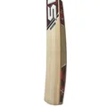 SM Milestone kashmir Willow Cricket Bat (Standard Size Short Handle)