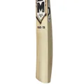 SM Power Shot Willow Cricket Bat (Standard Size Short Handle)
