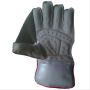 SM Collide Cricket Wicket Keeping Gloves