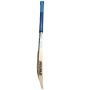 Spartan MSD Warrior Cricket Bat Standard Size