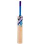 Spartan MC 4000 Cricket Bat Standard Size
