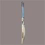 Spartan Sachin Performance English Willow Cricket Bat