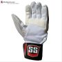 SS College MX Cricket Batting Gloves