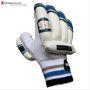 SS Academy Cricket Batting Gloves